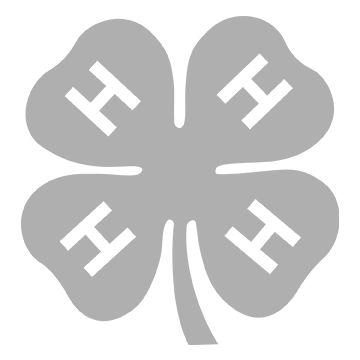4H Logo