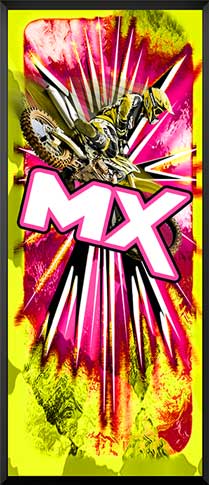 PDIT1024CBGP-NP-MX