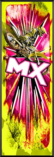 PDIT1236CBGP-NP-MX
