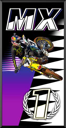 PDIT816SW1BPR-1st-MX