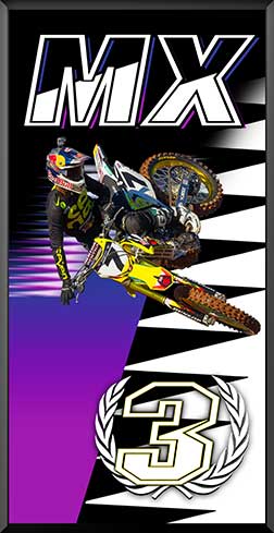 PDIT816SW1BPR-3rd-MX