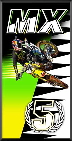 PDIT816SW1GGR-5th-MX