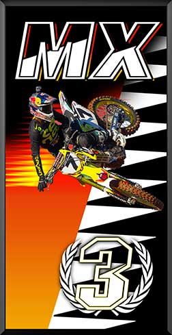 PDIT816SW1GOR-3rd-MX