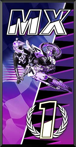 PDIT816SW2PKP-1st-MX