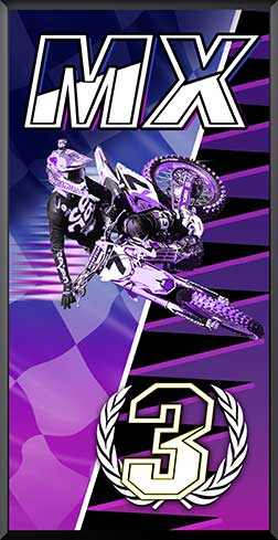 PDIT816SW2PKP-3rd-MX