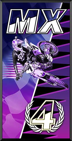 PDIT816SW2PKP-4th-MX